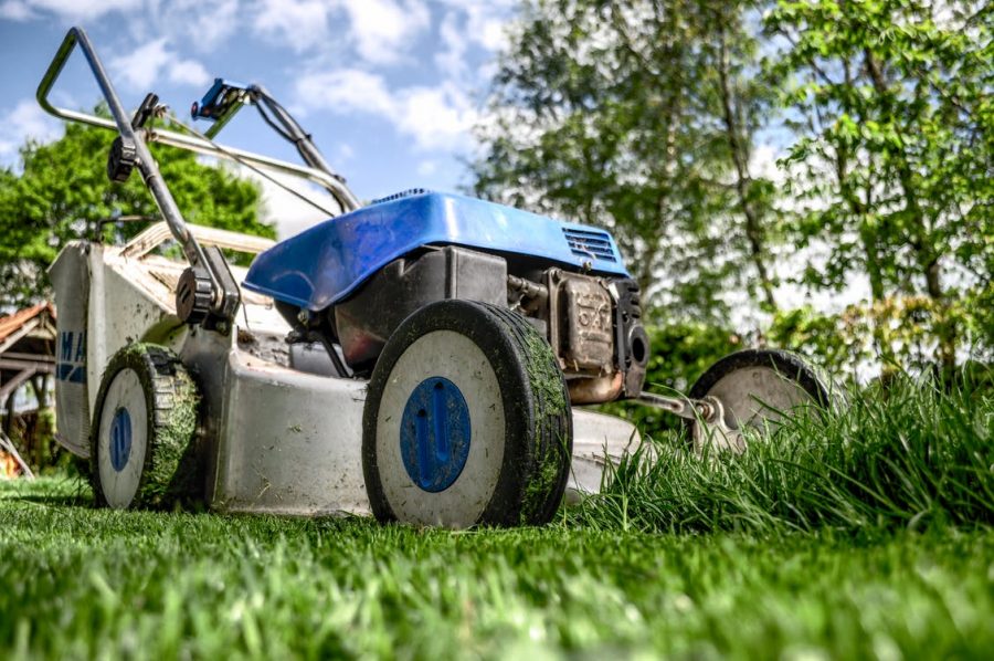 Bought A House With A Big Yard? Top Steps For Taking Care Of All That Grass