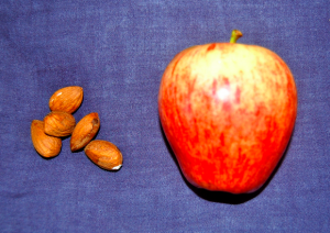 daily energy boost | verve vemma