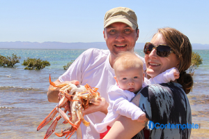 Great Holiday Ideas For 2014