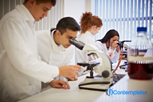 4 Expectations From A Degree In Life Sciences