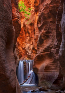 spicing up marriage zions1