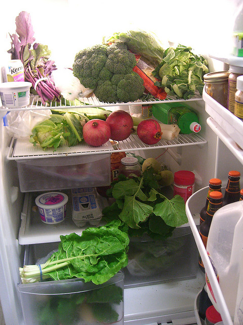 The Smallest Refridgerator In The World: Just The Thing To Keep Your Nano-Beers Cold