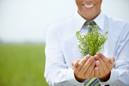 Why You Should Start A Green Business