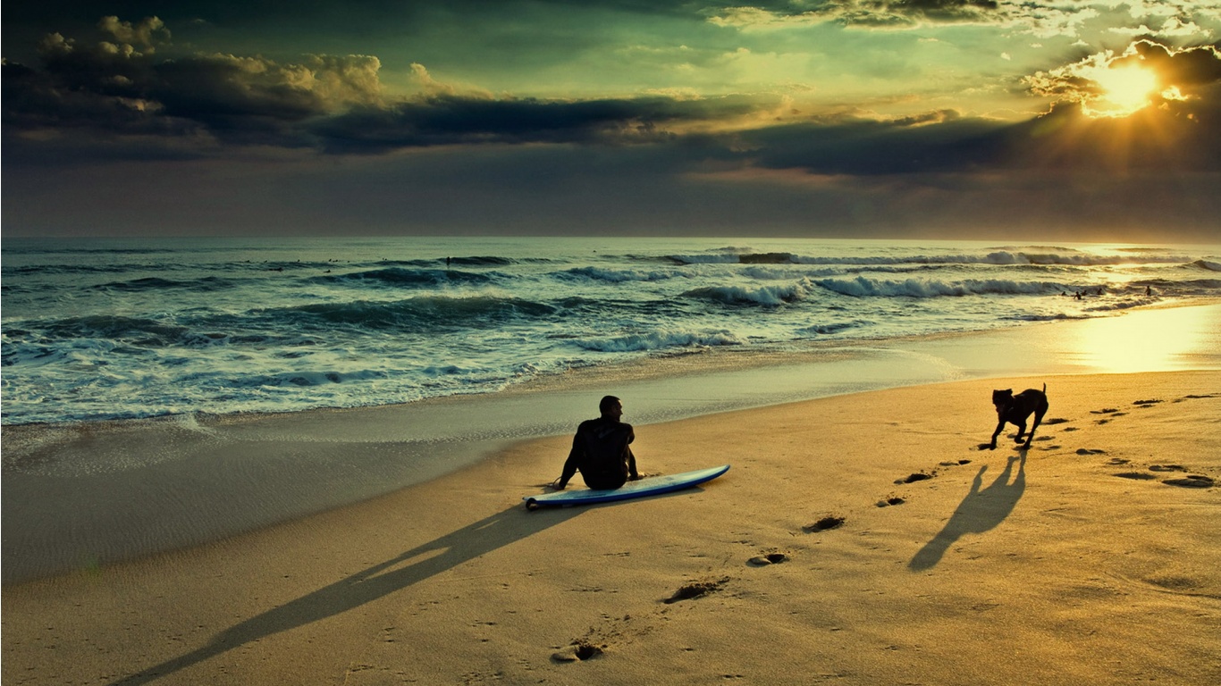 dog-friendly-beach