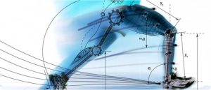 Biomechanical assessments