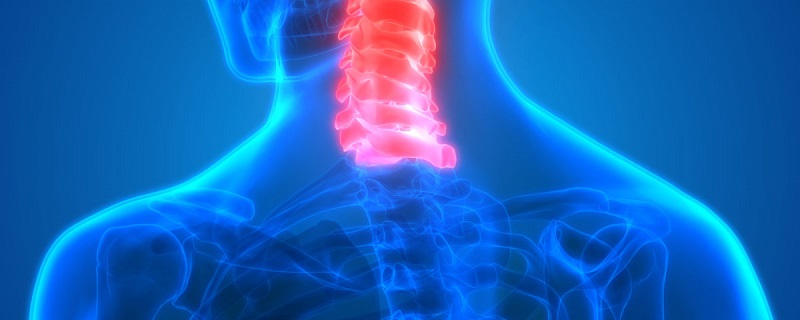 cervical spine