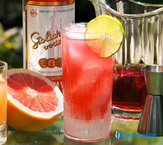5 Best Low Calorie Alcoholic Drinks For New Year's