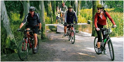 Latest Techniques To Lose Weight