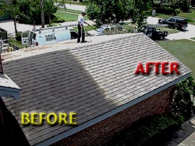 How To Remove Algae From Your Roof