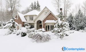 5 Tips To Keep Your Plants Healthy Throughout Winter