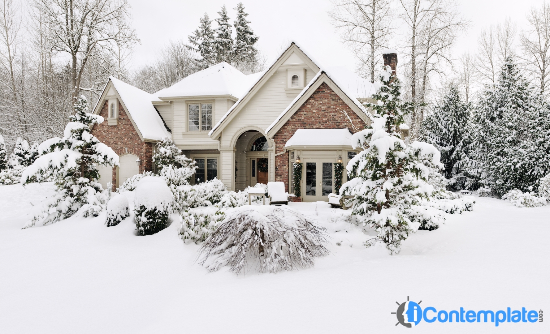 5 Tips To Keep Your Plants Healthy Throughout Winter