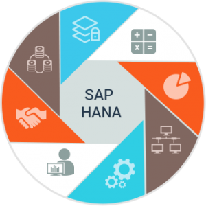 SAP HANA Implementation Who Is It For and When Is It Required
