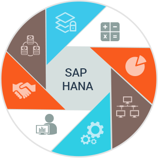 SAP HANA Implementation Who Is It For and When Is It Required
