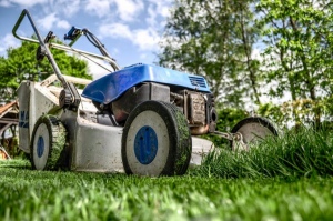 Bought A House With A Big Yard? Top Steps For Taking Care Of All That Grass