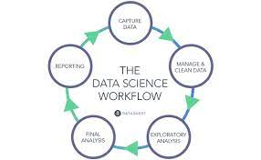 Wondering What Do Data Scientists Do? Here Is The Answer
